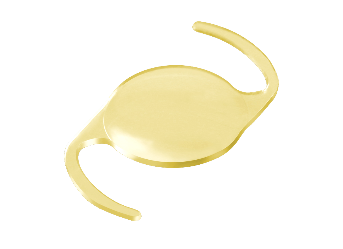 PVB105XAA - SPIRANT XANTHOUS